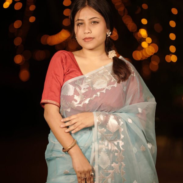 Intricate muslin graced up with metallic patterns